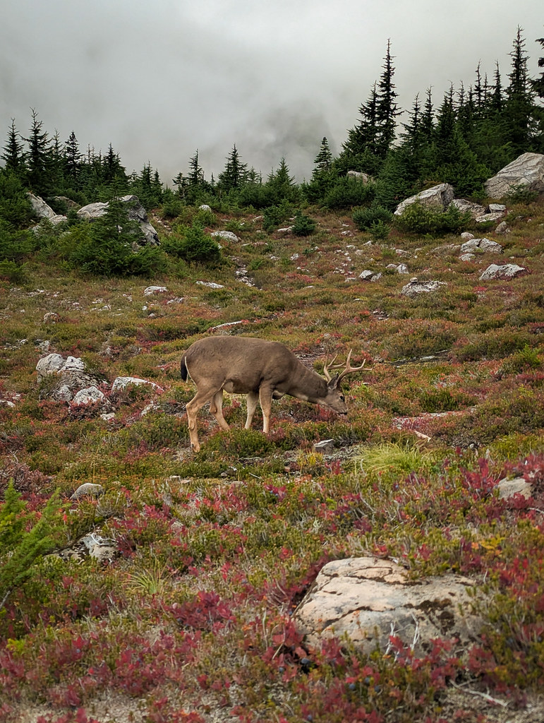 2025-10-04_#42_7-lakes-basin-2